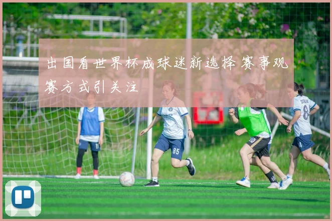 出国看世界杯成球迷新选择 赛事观赛方式引关注