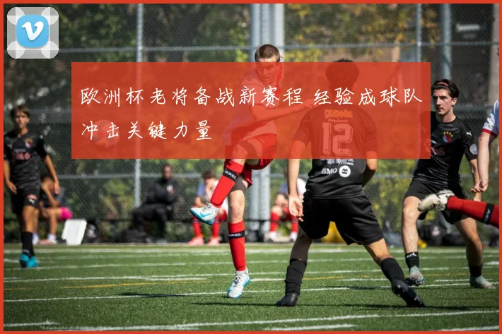 欧洲杯老将备战新赛程 经验成球队冲击关键力量
