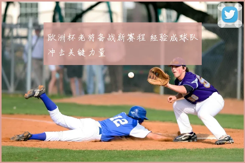 欧洲杯老将备战新赛程 经验成球队冲击关键力量