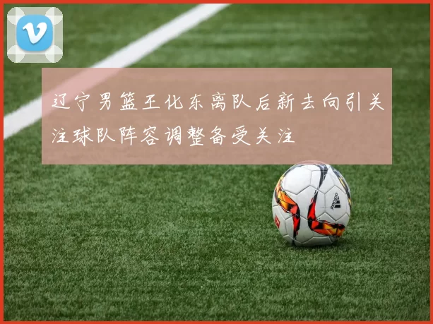 辽宁男篮王化东离队后新去向引关注球队阵容调整备受关注