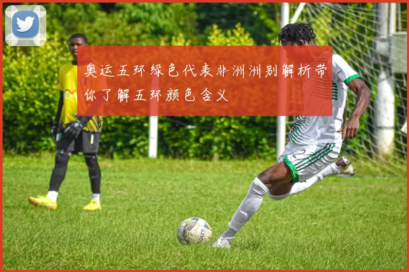 奥运五环绿色代表非洲洲别解析带你了解五环颜色含义