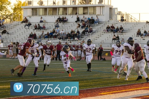 压球首页平台生态图